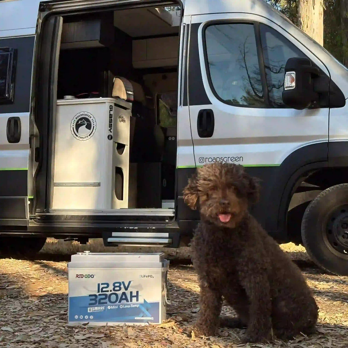 Batería Redodo 12,8V 320Ah W190 LiFePO4 MINI junto a una furgoneta camper y un perro, ideal para la autonomía en autocaravanas.