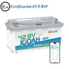 Redodo Batería de LiFePO4 12V 100Ah H190 con Bluetooth Bajo el Asiento para Autocaravana | Certificación ECE R10