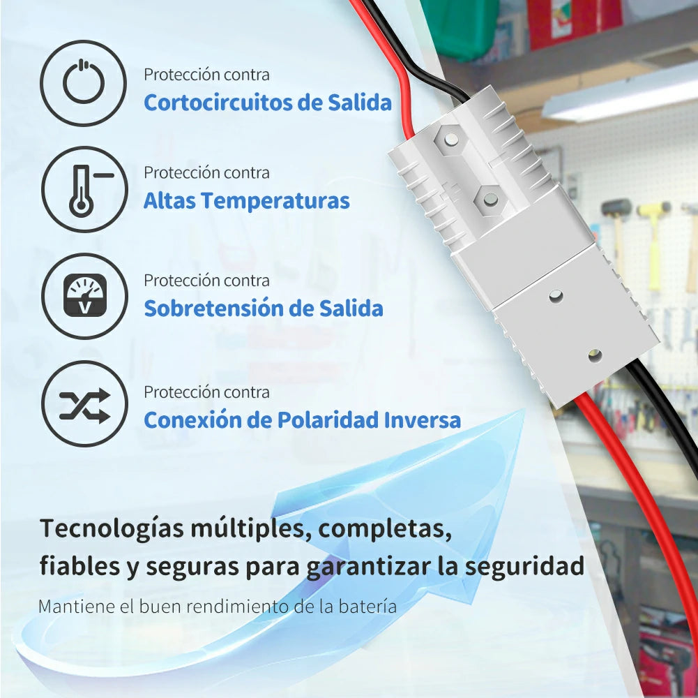Redodo Power Cargador Litio 12V 20A LiFePO4 - Protecciones Seguros