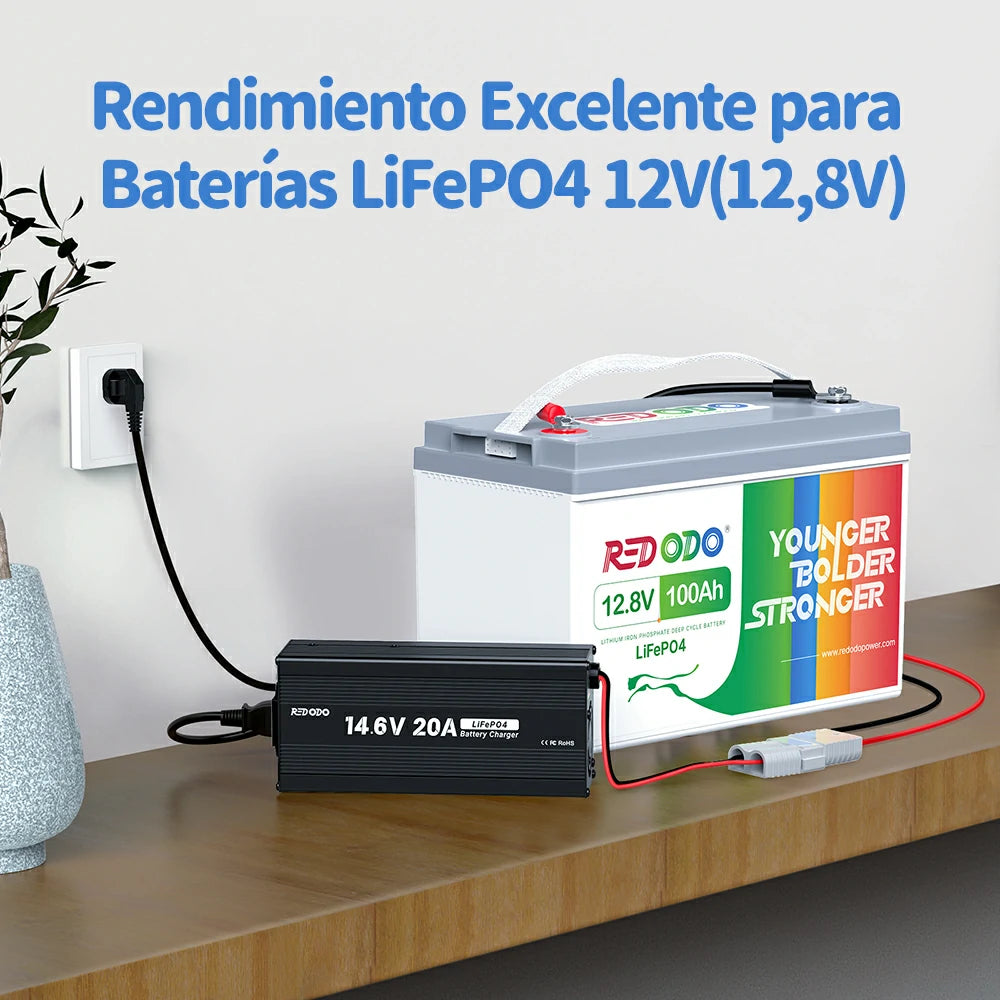 Redodo Power Cargador Litio 12V 20A LiFePO4 - Rendimiento Excelente para baterías LiFePO4 12V(12.8V)