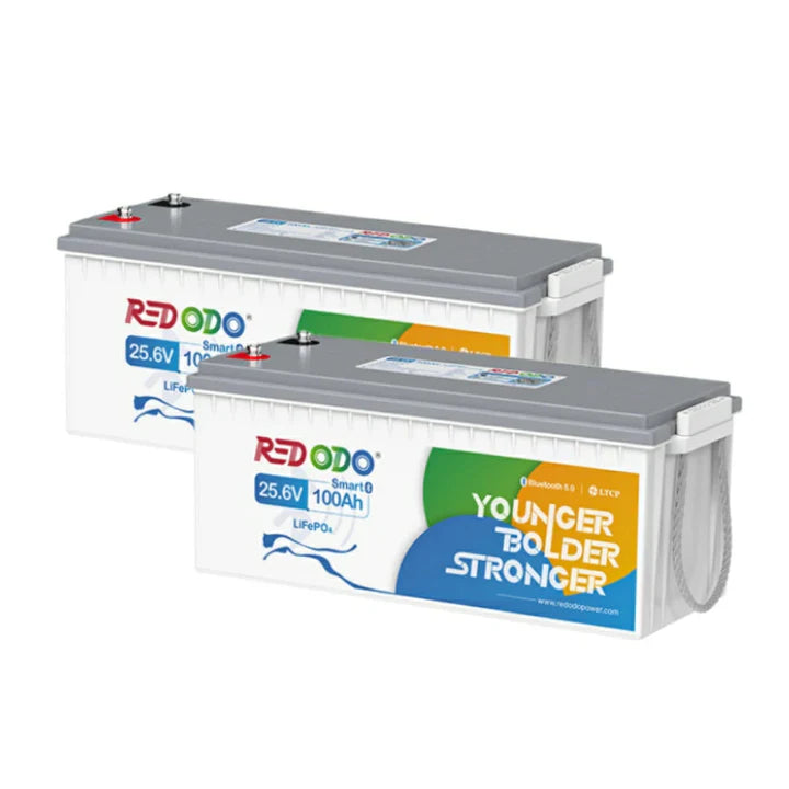 Redodo Batería de Litio 24V 100Ah con Bluetooth LiFePO4 - 2PACK