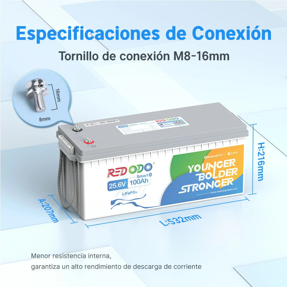 Redodo Batería de Litio 24V 100Ah con Bluetooth LiFePO4 - Especificaciones de Conexión