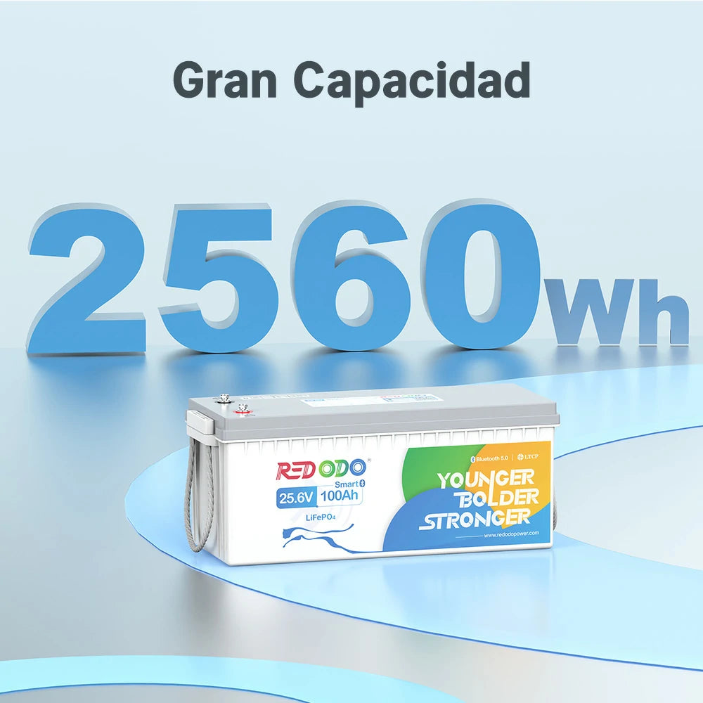 Redodo Batería de Litio 24V 100Ah con Bluetooth LiFePO4 - Gran Capacidad 2560Wh