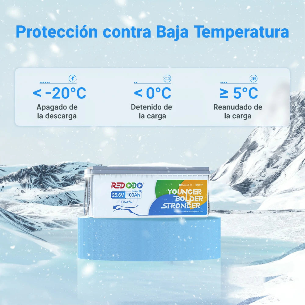 Redodo Batería de Litio 24V 100Ah con Bluetooth LiFePO4 - Protección contra Baja Temperatura