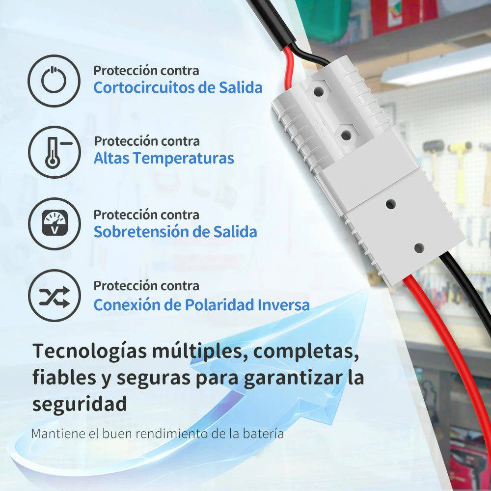Redodo Cargador de Batería de Litio LiFePO4 14,6V 10A - Protecciones Completas, Múltiples, Fiables y Seguras Garantizar la Seguridad