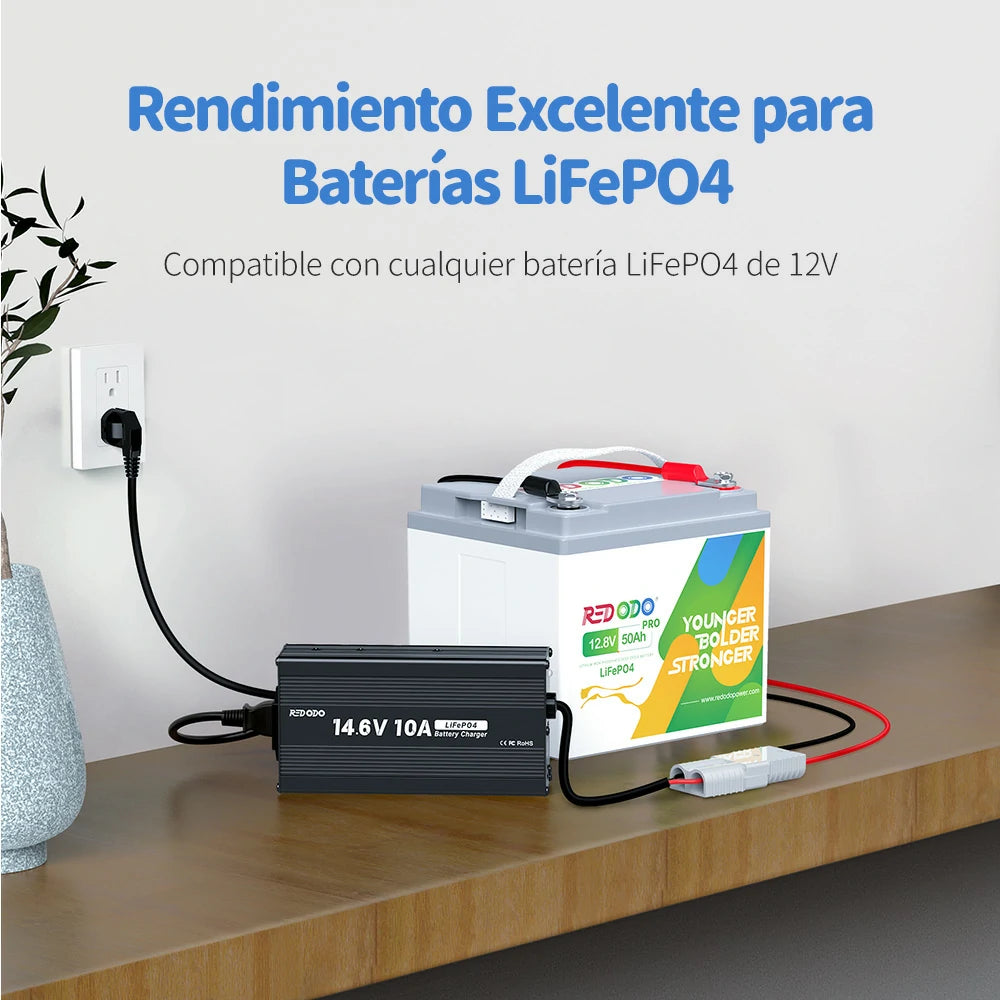 Redodo Cargador de Batería de Litio LiFePO4 14,6V 10A - Rendimiento Excelente para Baterías LiFePO4