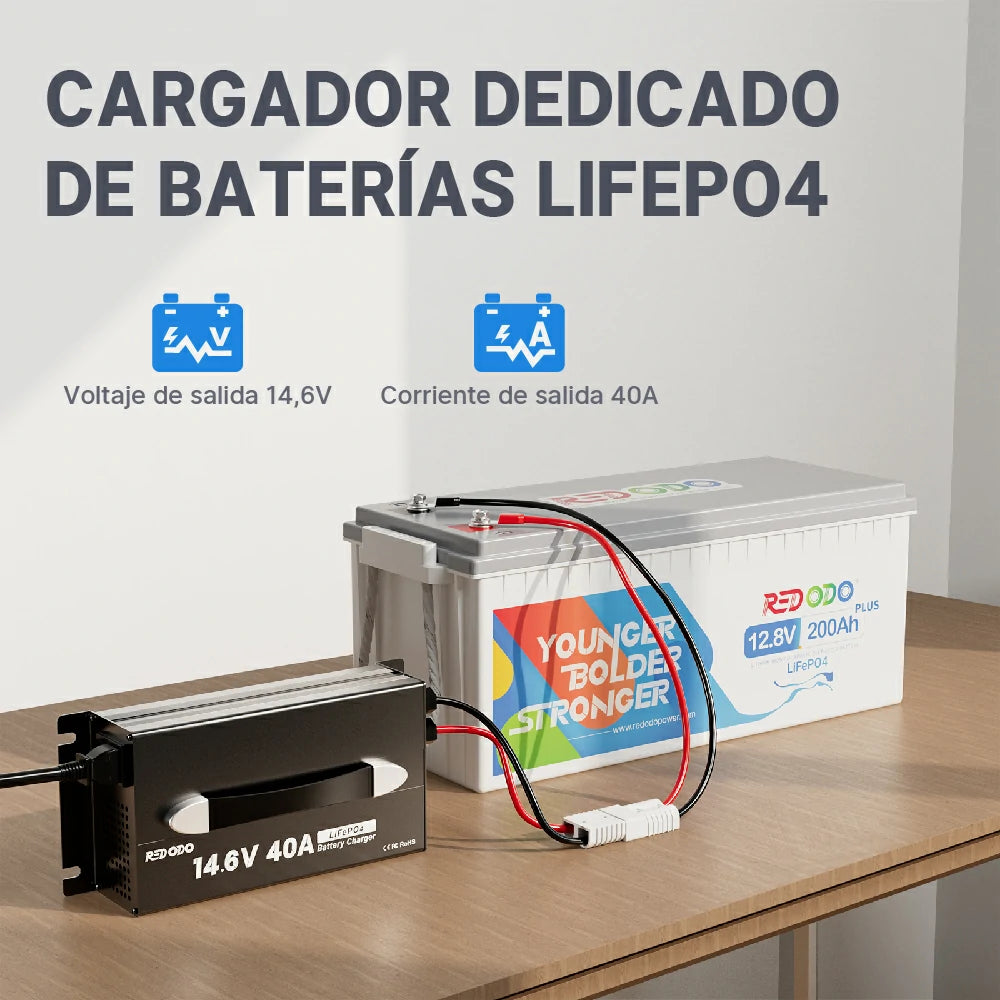 Redodo Power Cargador Litio 12V 40A Update - Cargador Dedicado de Baterías LiFePO4