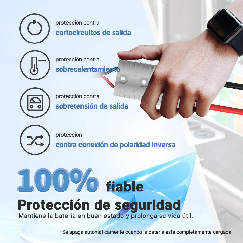 Redodo Cargador LiFePO4 29,2V 20A - 100% Fiable Protección de Seguridad